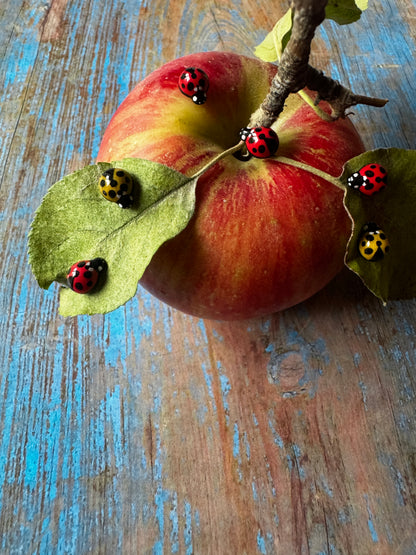 A decorative red and yellow apple on a branch with green leaves, styled on a distressed blue wooden surface and adorned with small red and yellow ladybug pins.