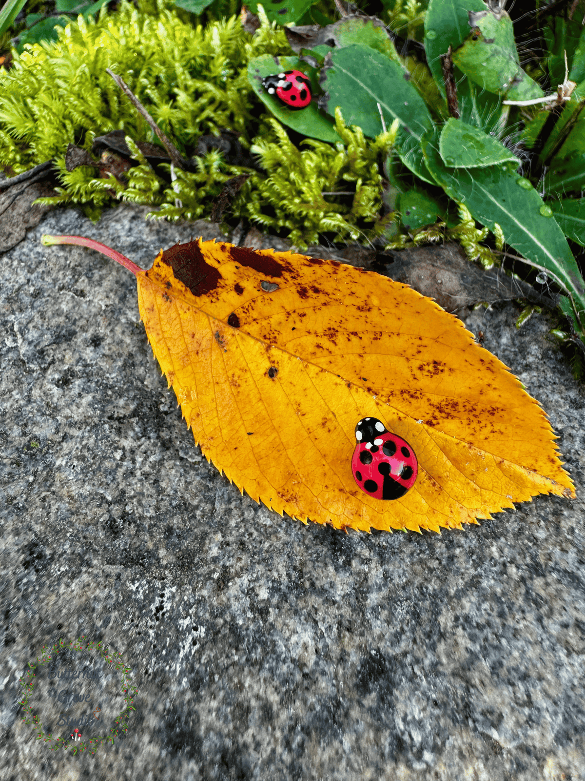 Two red ladybug pins attached to moss and a yellow leaf. 
